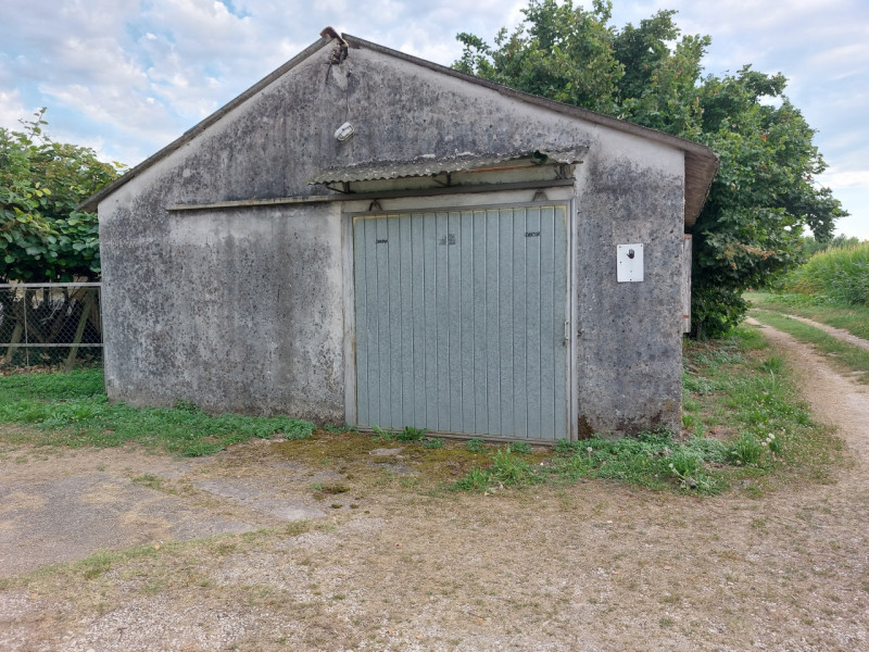 immagine annuncio 5 di 10