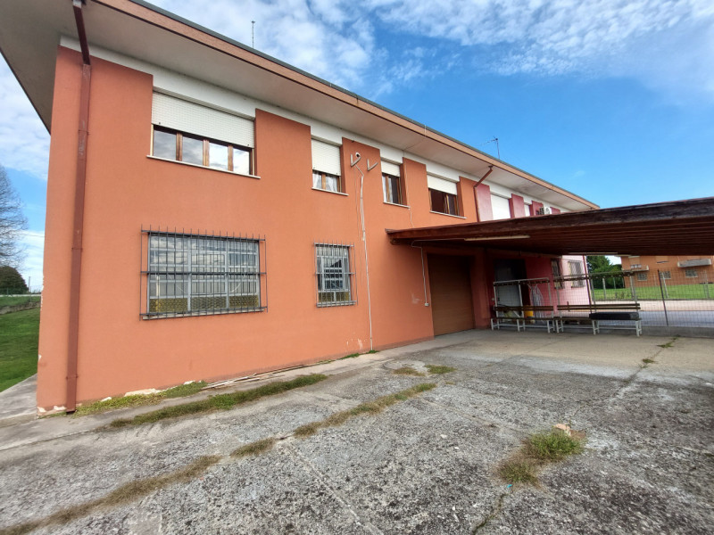 immagine annuncio 4 di 8