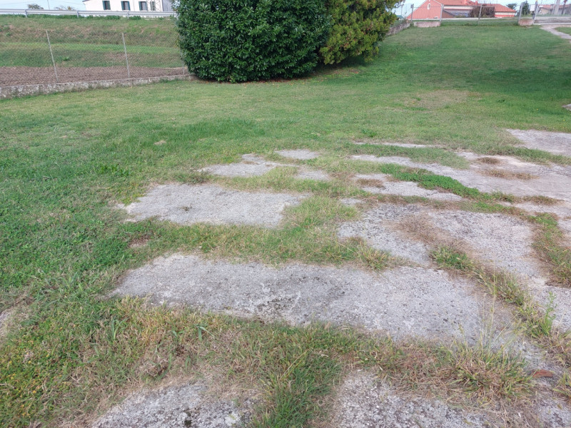 immagine annuncio 6 di 8