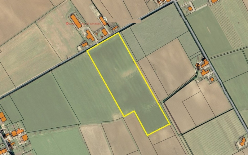 immagine annuncio 1 di 2