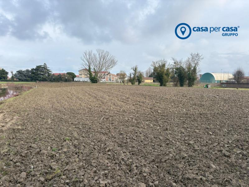 immagine annuncio 1 di 8