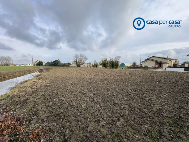 immagine annuncio 5 di 8