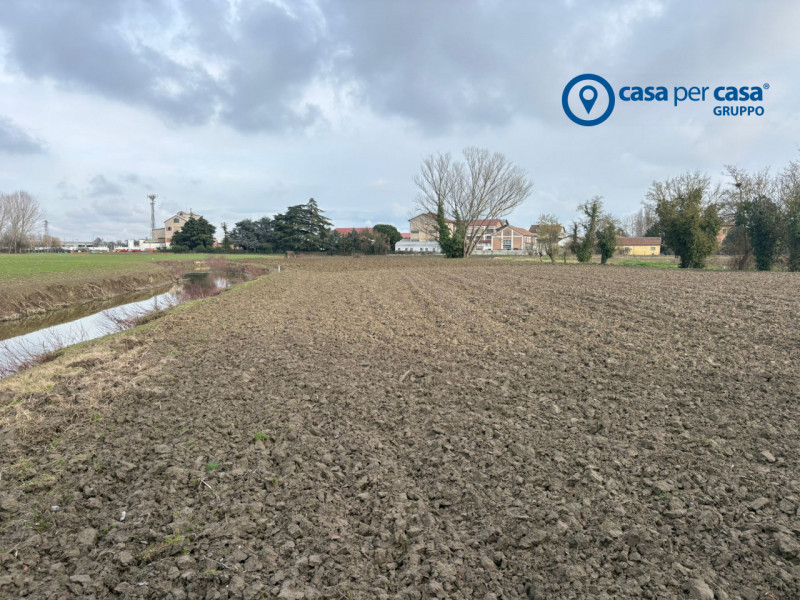 immagine annuncio 4 di 8