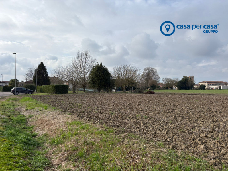 immagine annuncio 7 di 8