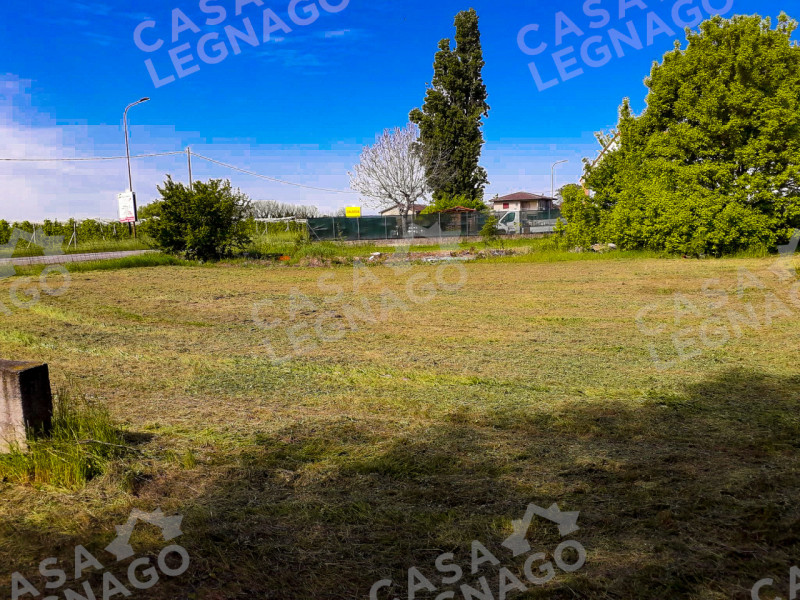 immagine annuncio 2 di 3