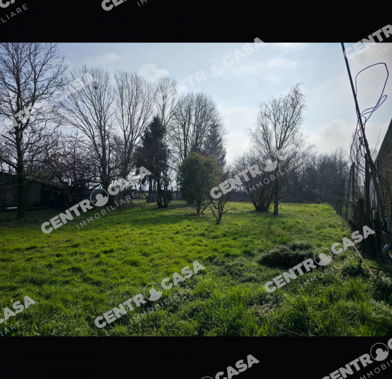 immagine annuncio 1 di 2