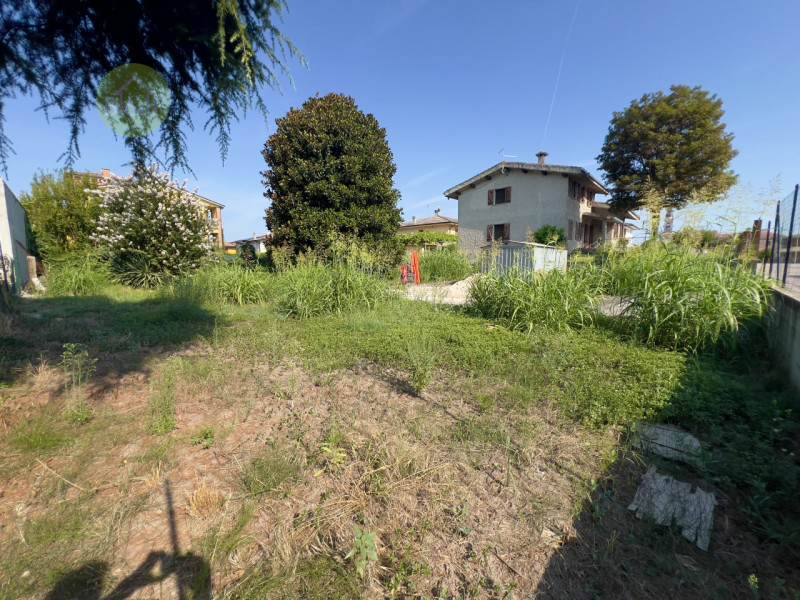 immagine annuncio 1 di 6