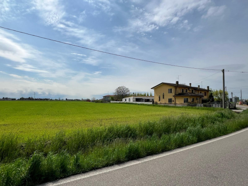 immagine annuncio 4 di 7
