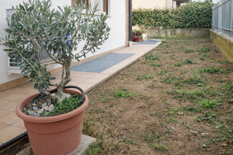 immagine annuncio 2 di 7