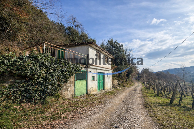 immagine annuncio 4 di 10