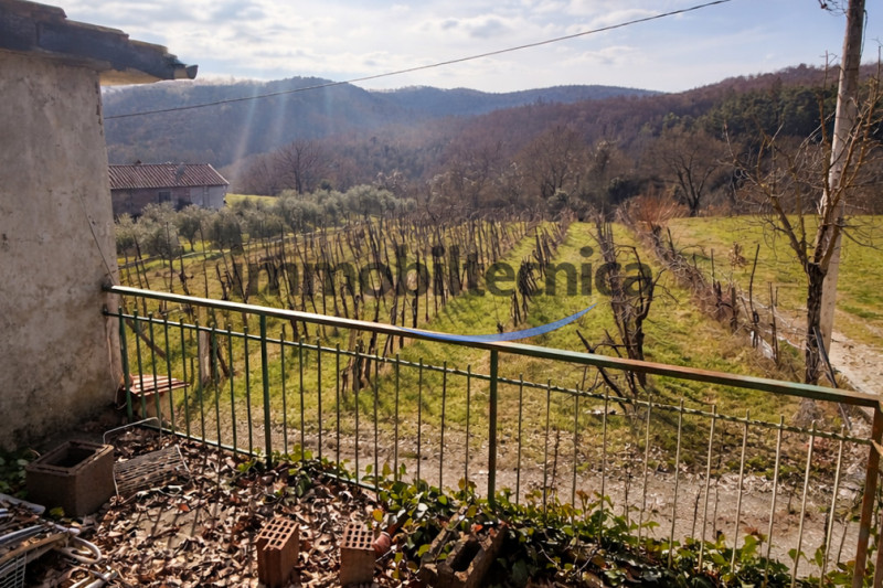 immagine annuncio 1 di 10