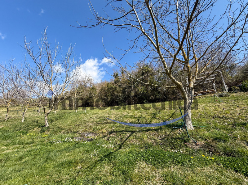 immagine annuncio 6 di 9