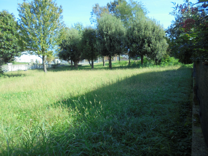 immagine annuncio 1 di 6