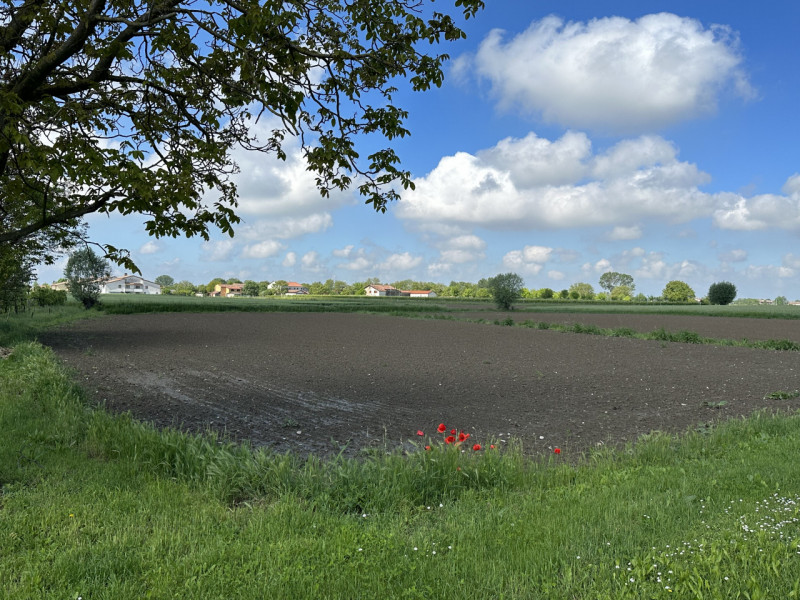 immagine annuncio 4 di 6