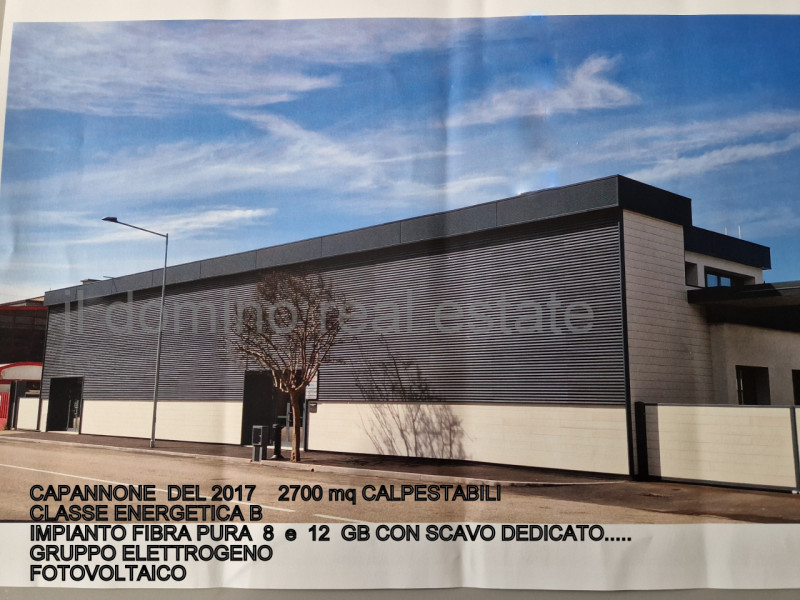 immagine annuncio 8 di 10