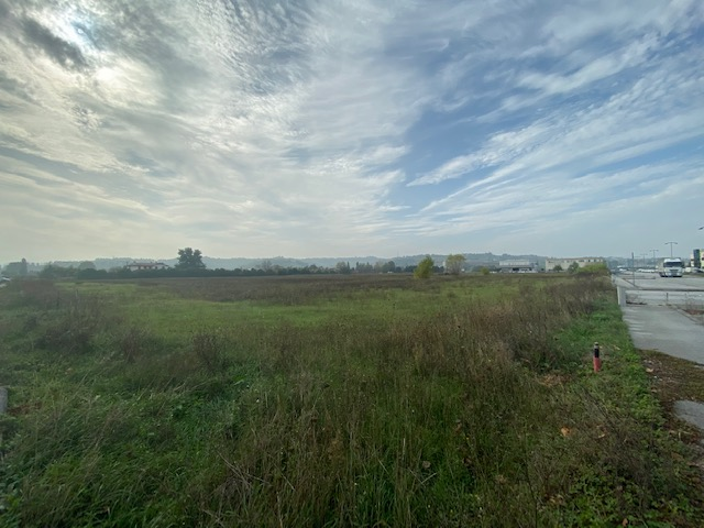 immagine annuncio 4 di 6