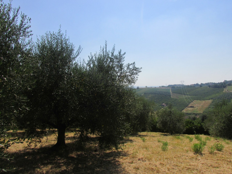 immagine annuncio 4 di 9
