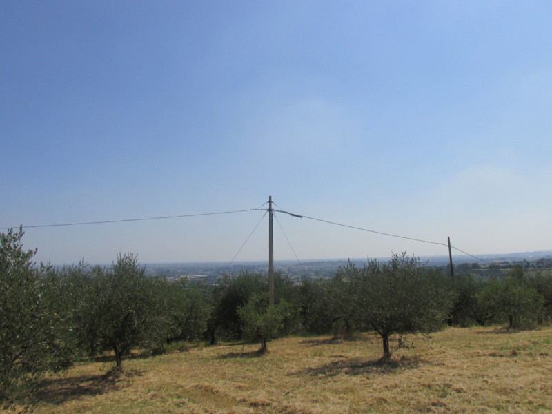 immagine annuncio 6 di 9