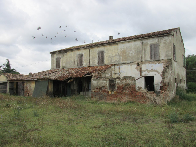 immagine annuncio 4 di 7
