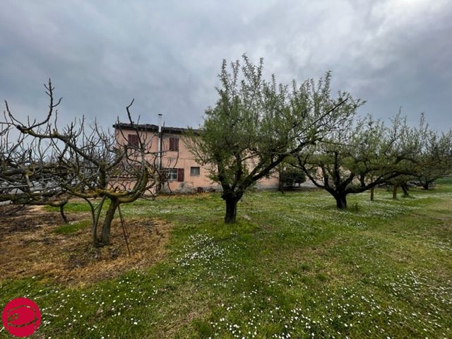 immagine annuncio 2 di 8