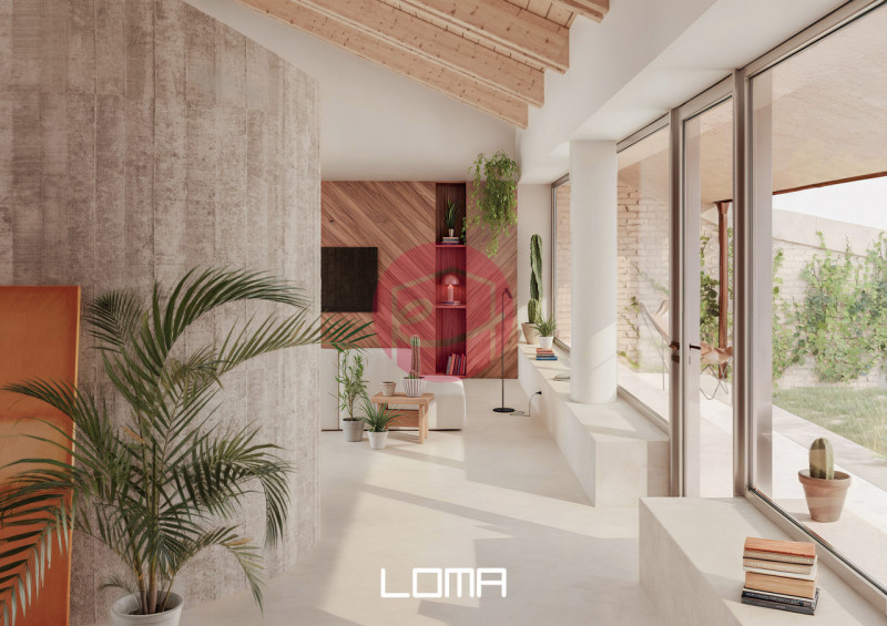 immagine annuncio 3 di 8