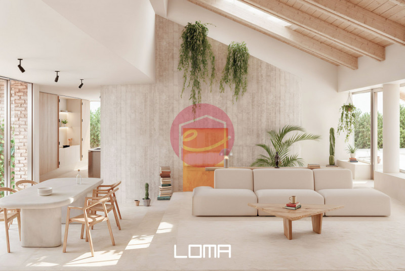 immagine annuncio 4 di 8