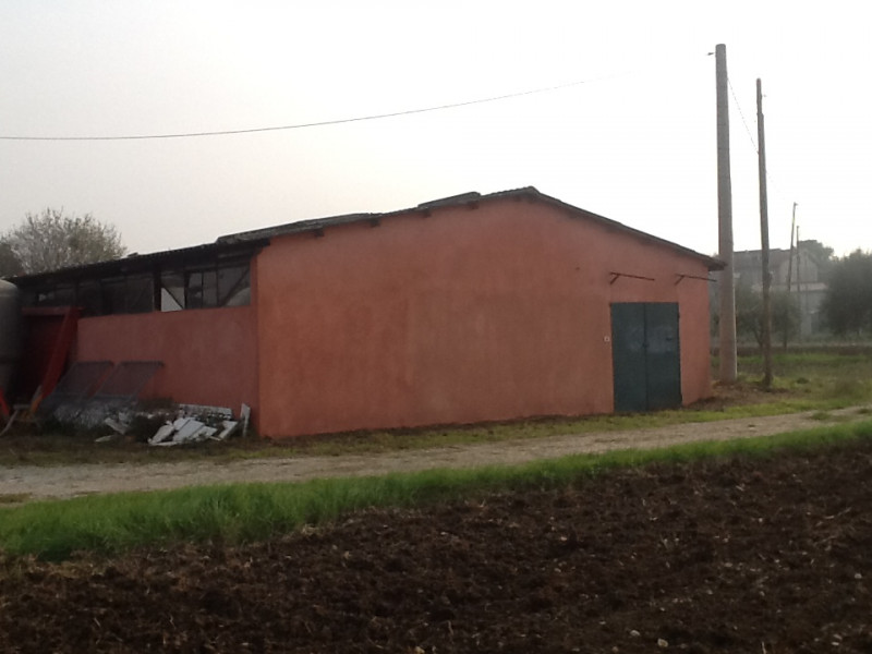 immagine annuncio 1 di 3