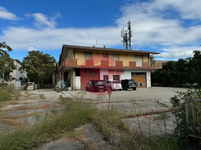 immagine annuncio 4 di 7