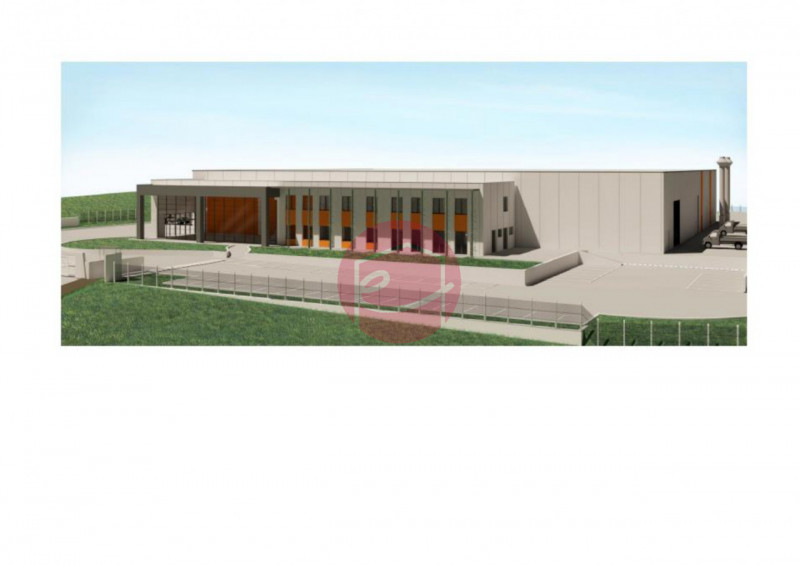 immagine annuncio 2 di 8