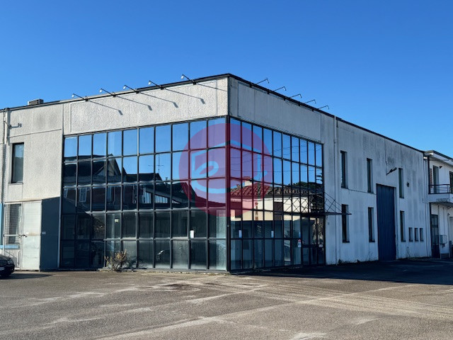 immagine annuncio 5 di 6