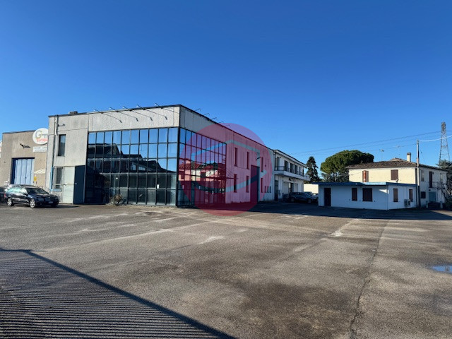 immagine annuncio 4 di 6