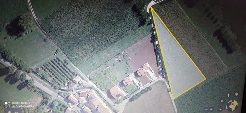 immagine annuncio 2 di 4