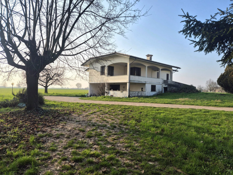 immagine annuncio 3 di 6