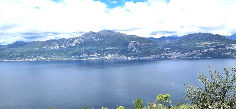 immagine annuncio 5 di 8