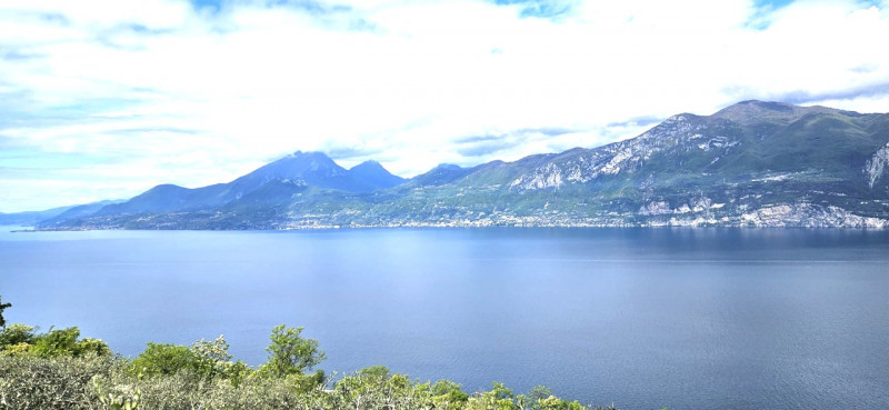 immagine annuncio 4 di 8