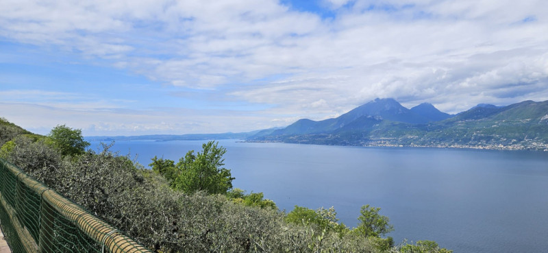 immagine annuncio 7 di 8
