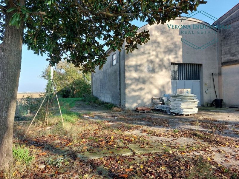 immagine annuncio 3 di 10