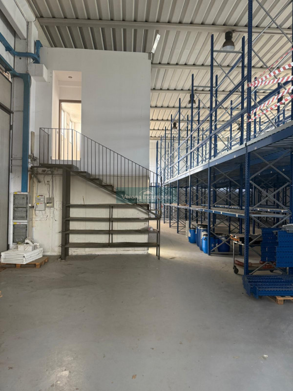 immagine annuncio 3 di 8