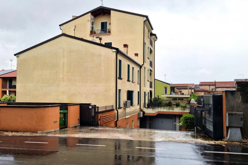 immagine annuncio 3 di 10