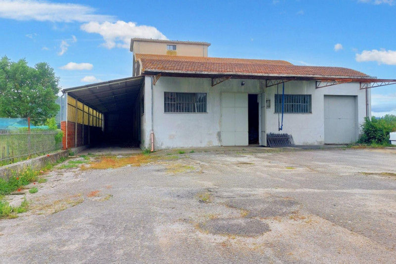 immagine annuncio 3 di 10