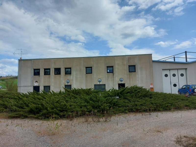 immagine annuncio 2 di 10