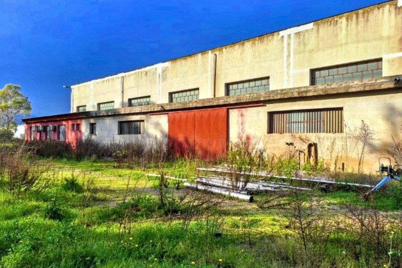 immagine annuncio 7 di 10