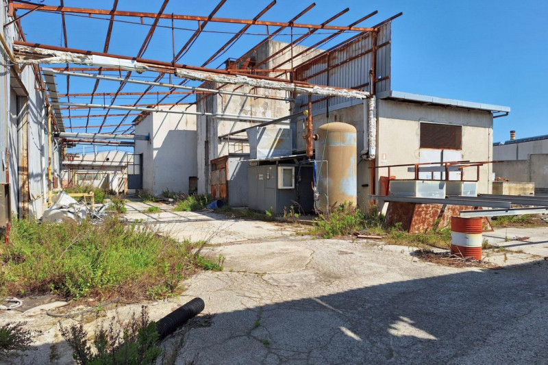 immagine annuncio 3 di 10