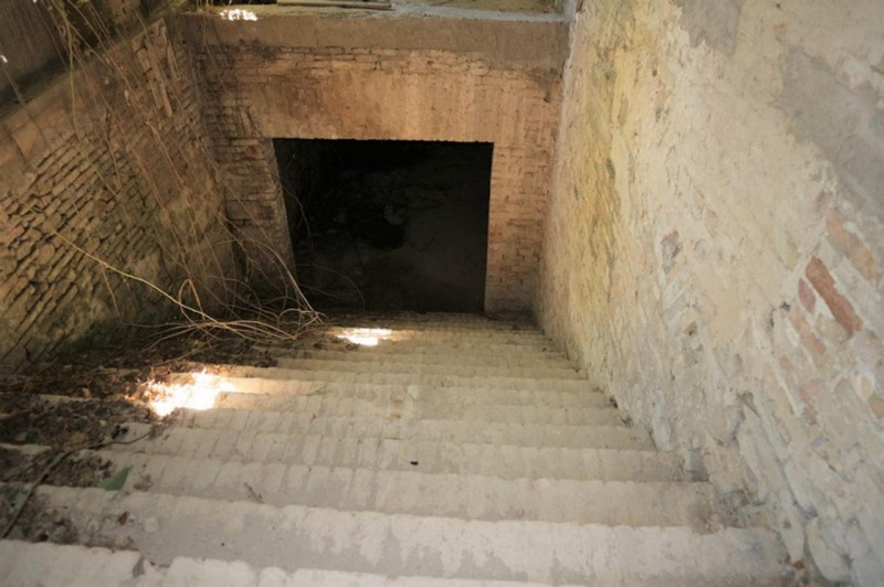 immagine annuncio 5 di 10