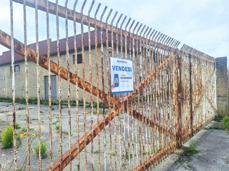 immagine annuncio 2 di 10