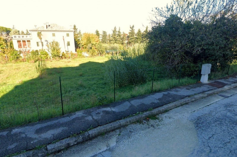 immagine annuncio 5 di 8