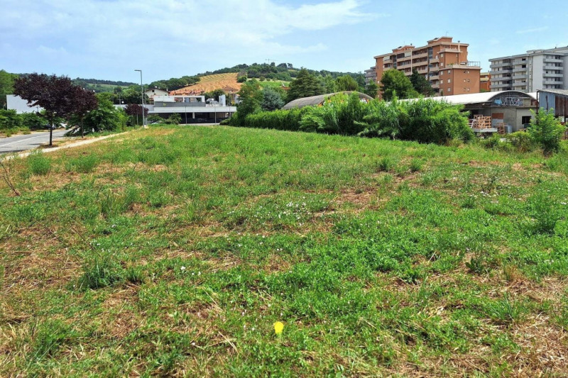 immagine annuncio 6 di 10