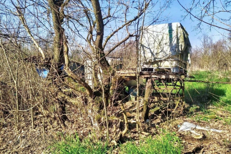 immagine annuncio 2 di 10