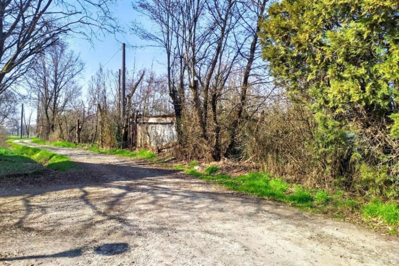 immagine annuncio 3 di 10