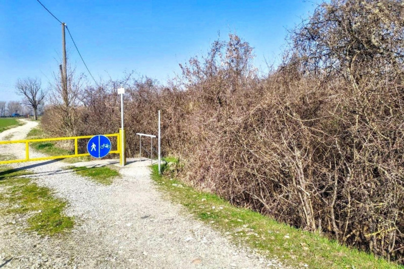immagine annuncio 1 di 10